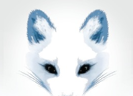 KLEVE Fox Logo